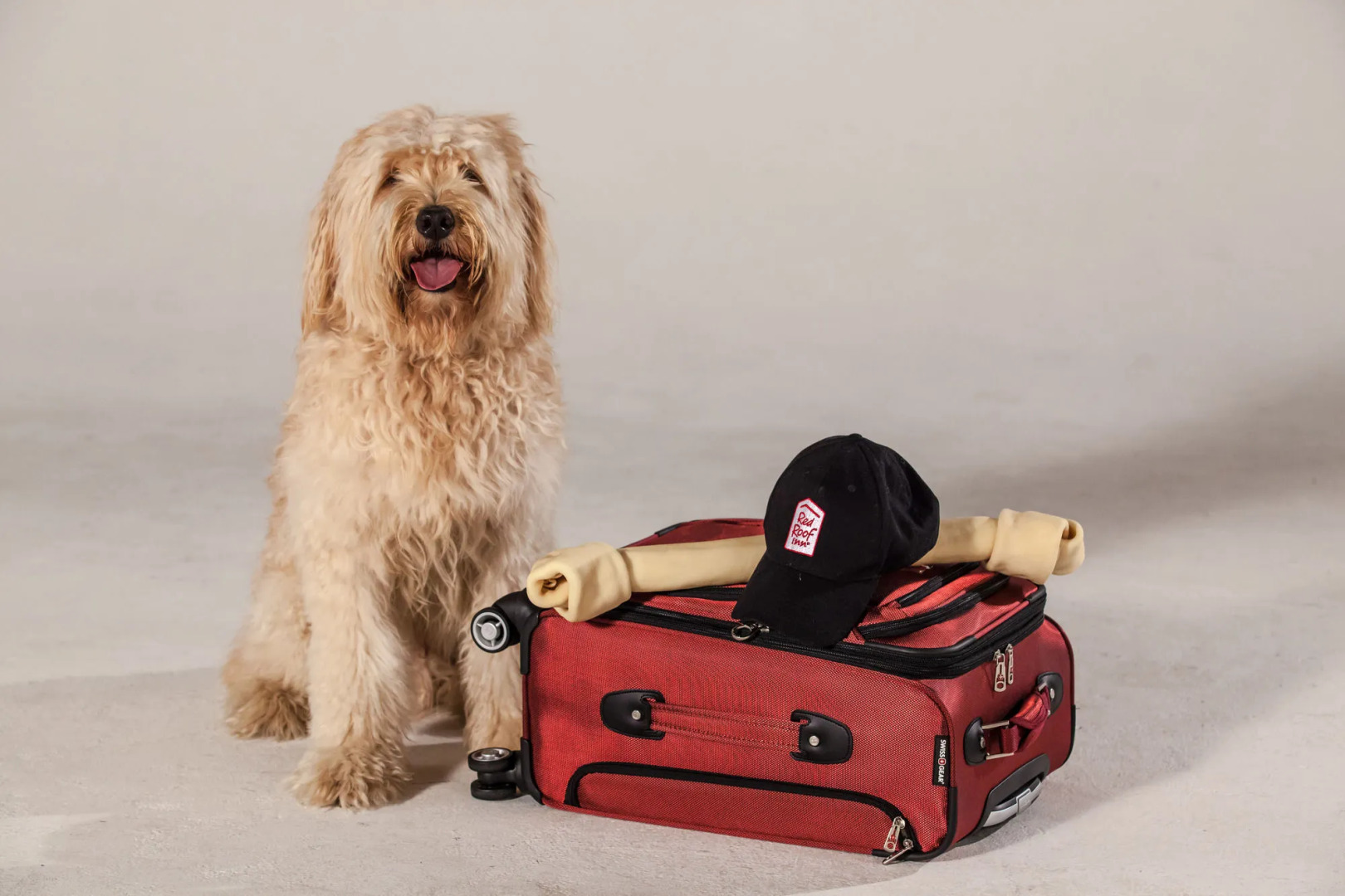 Red Roof Inn Mystic - New London