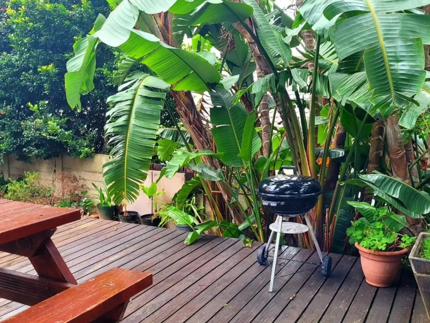 Tropical Seaside Suite 10