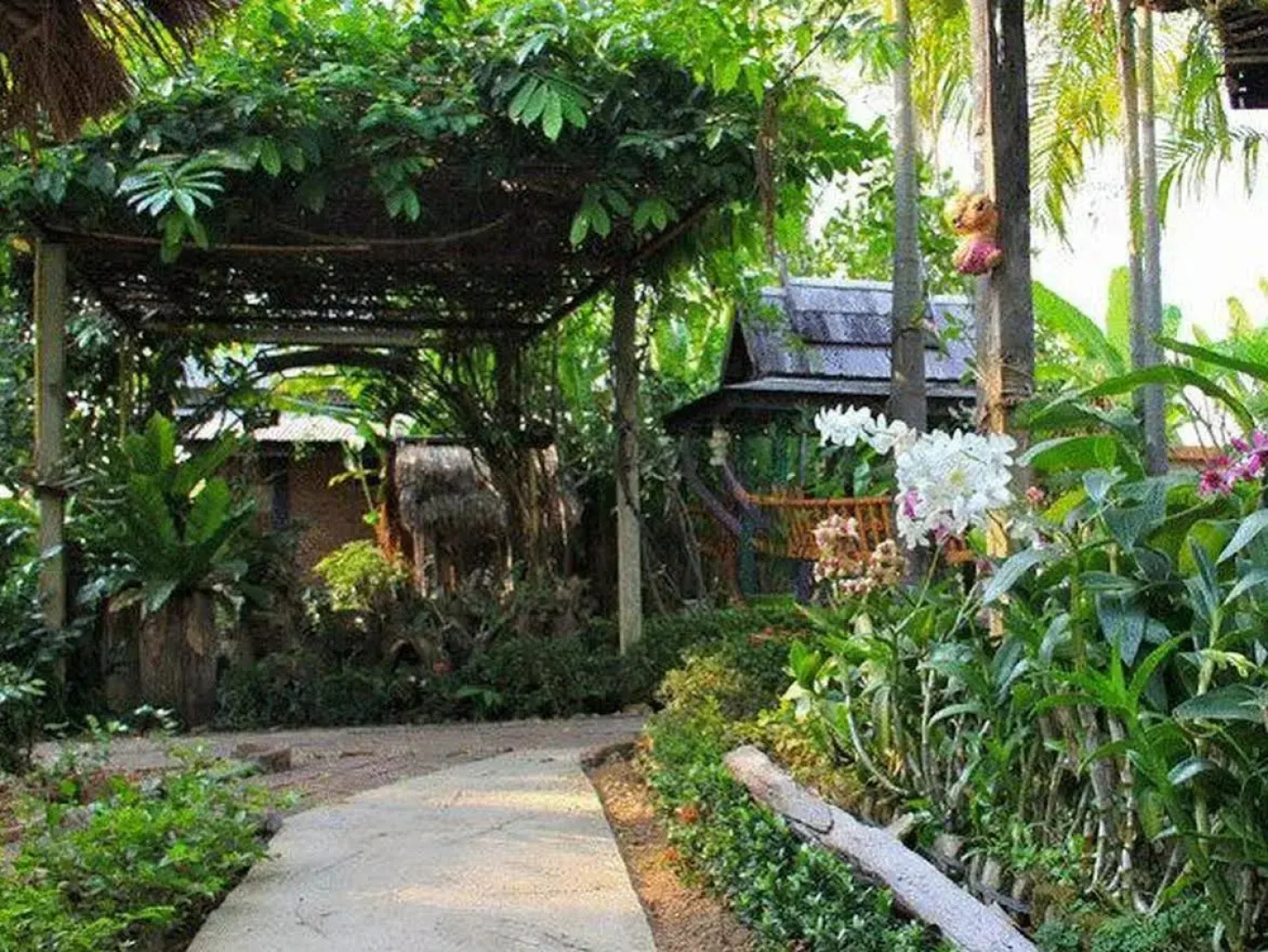 Orchid Hibiscus Guest House