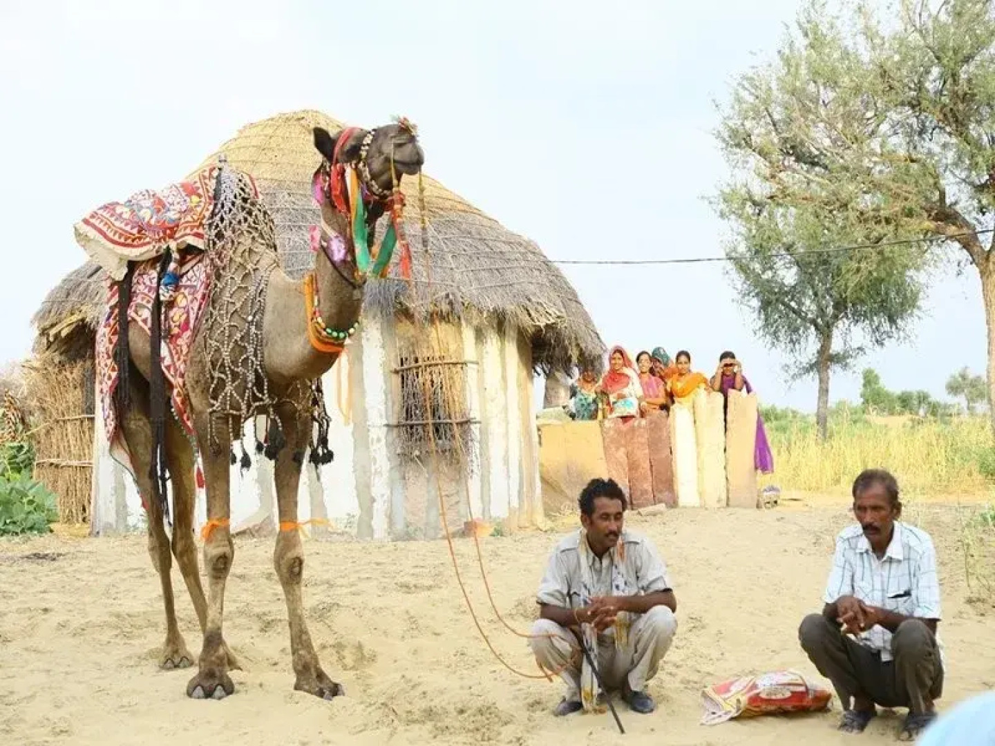 Hariyali Dhani Camps and Resorts