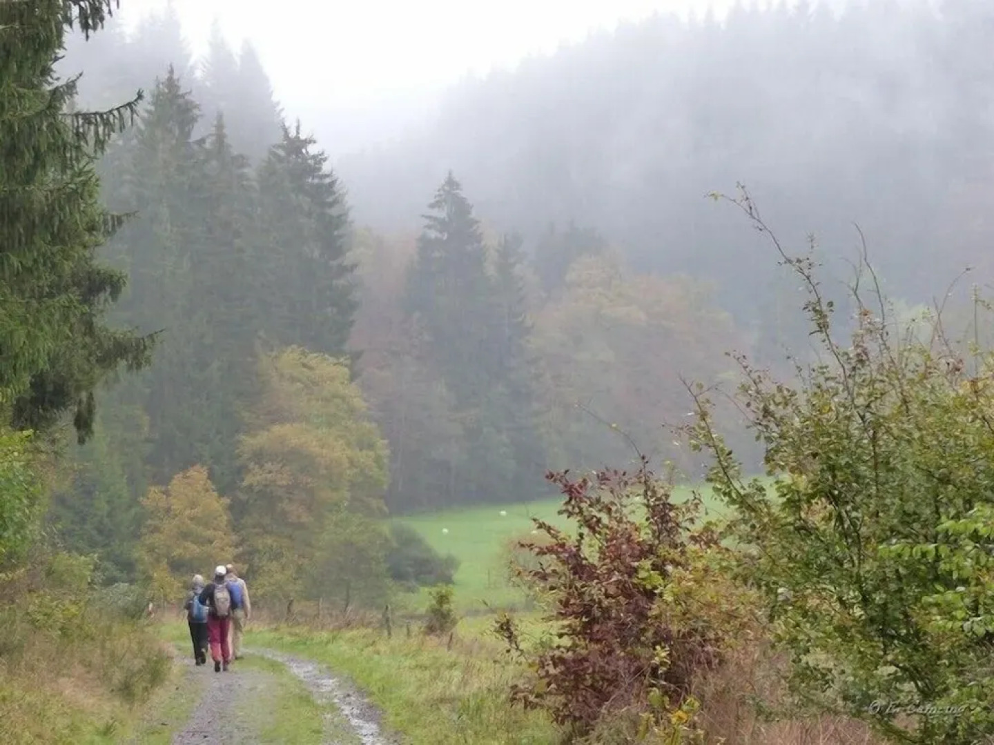 Pension Haus Liesertal