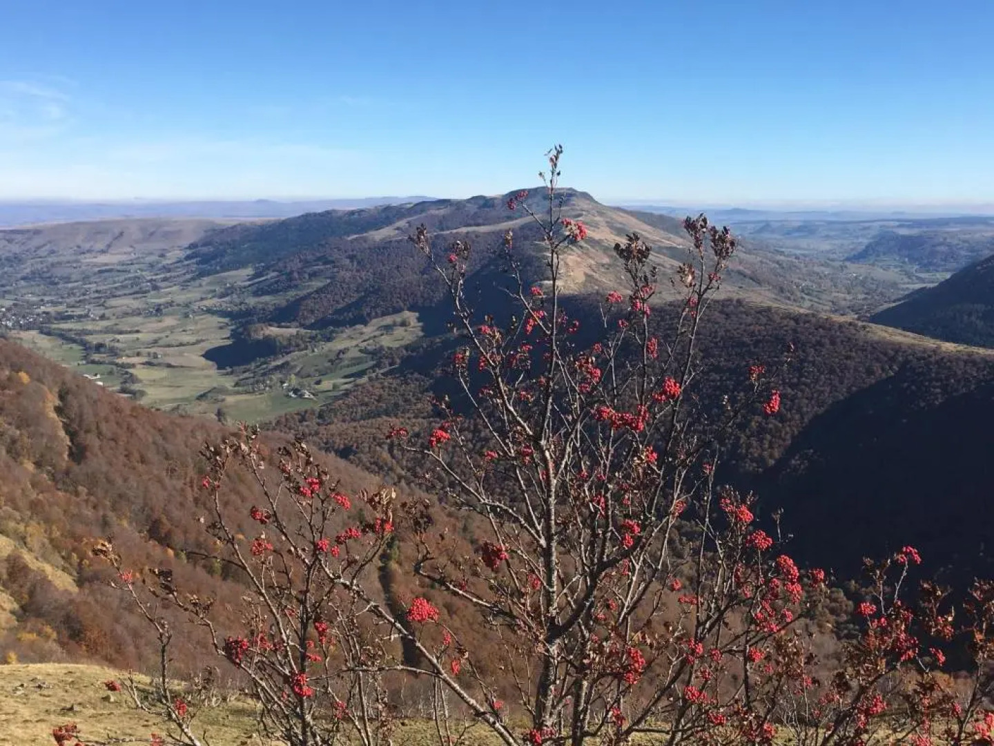 Gîte La Maison Toute de Travers