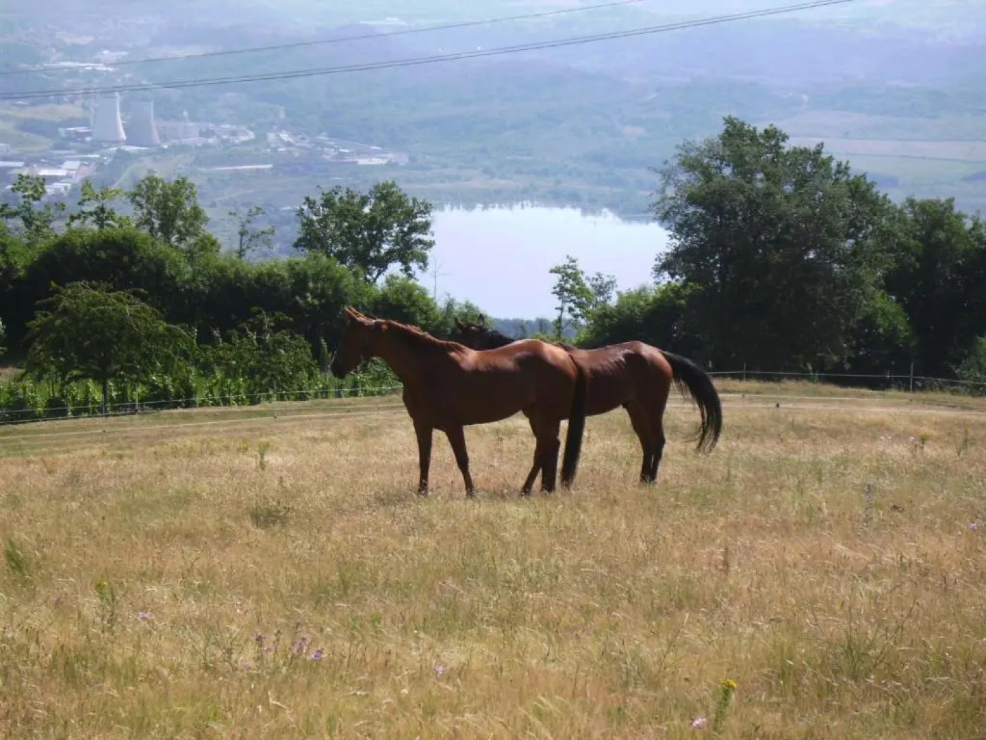Agriturismo Podere La Fornace