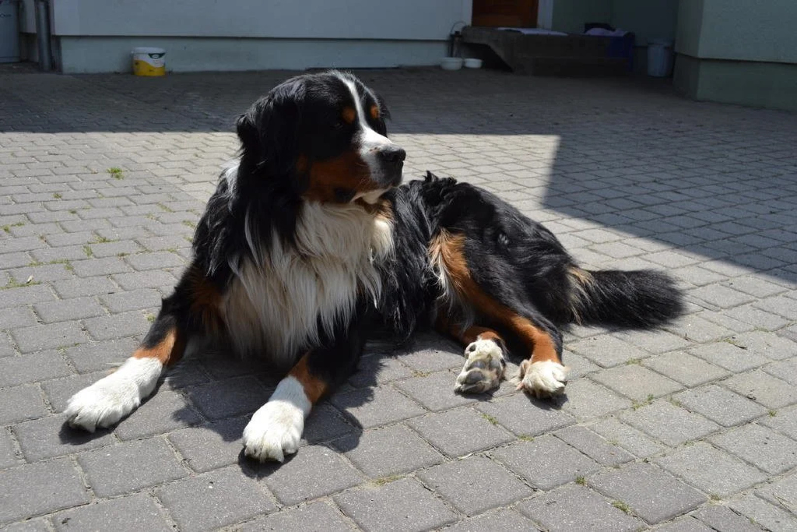 Freizeitzentrum Römerhütte