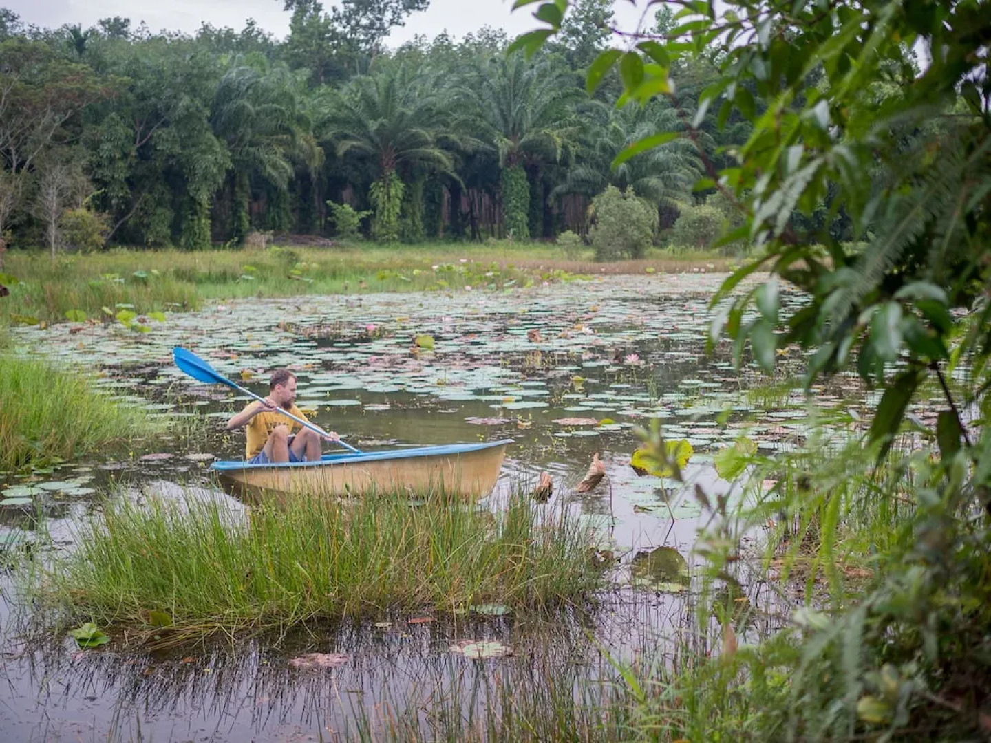 Wichai's Jungle Home Stay