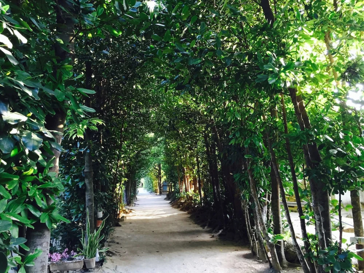 Guesthouse Seagull Village