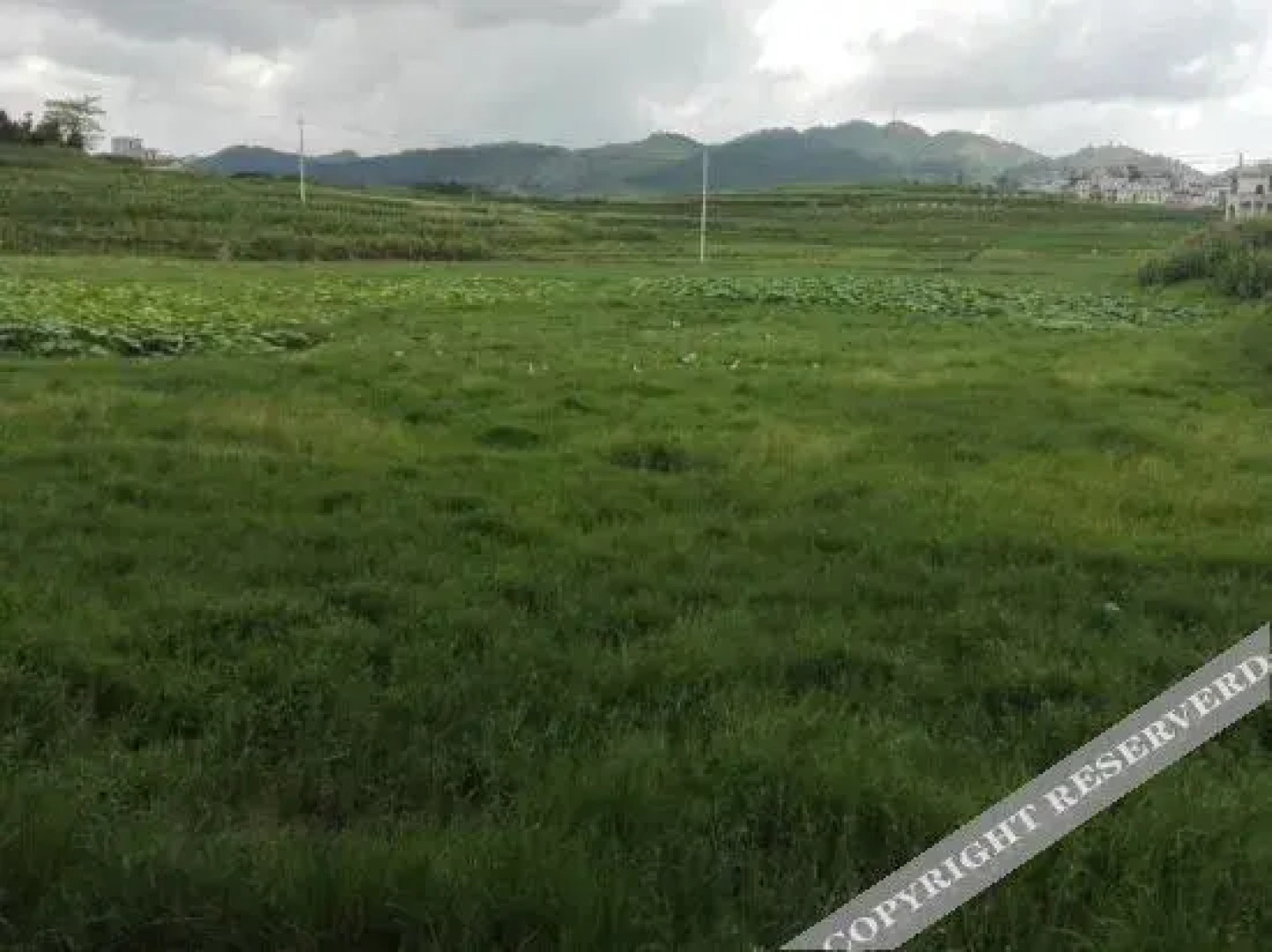 Guangnan 258 Impression Theme Hotel