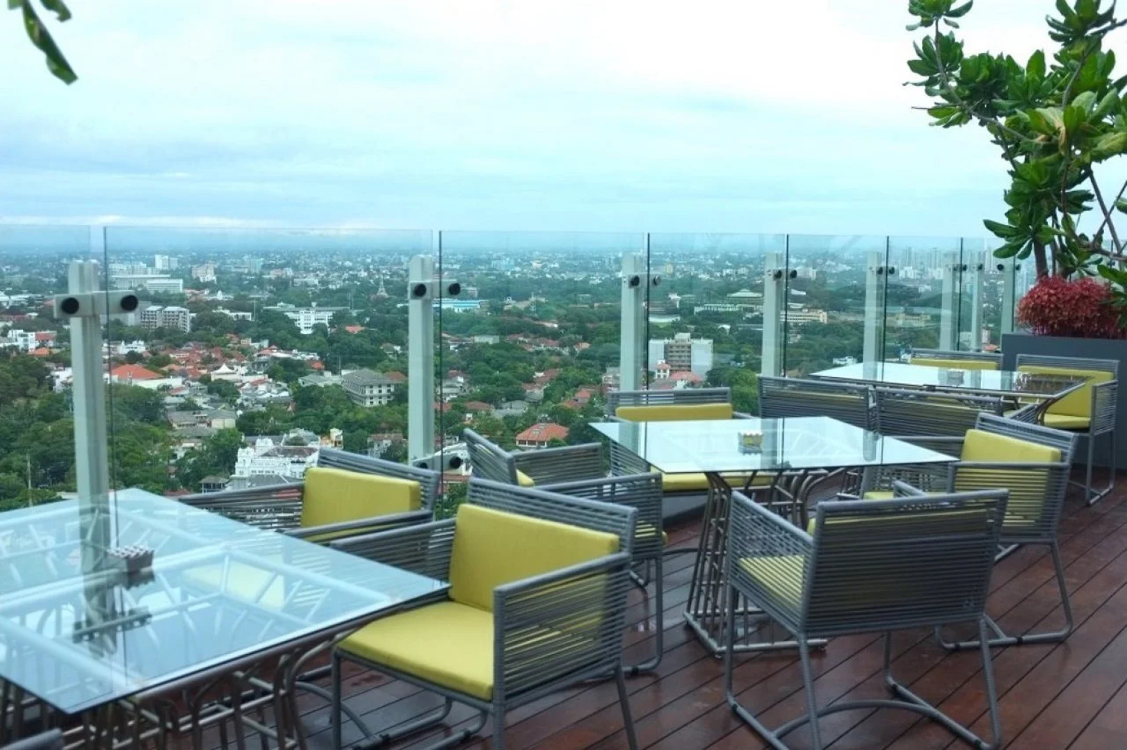 Cinnamon Red Colombo