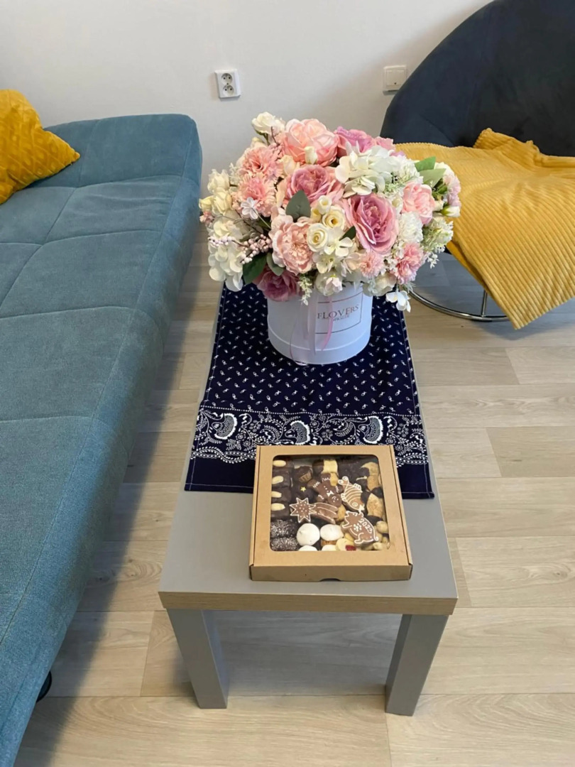 Slunný byt 2 a kk v Jizerkách