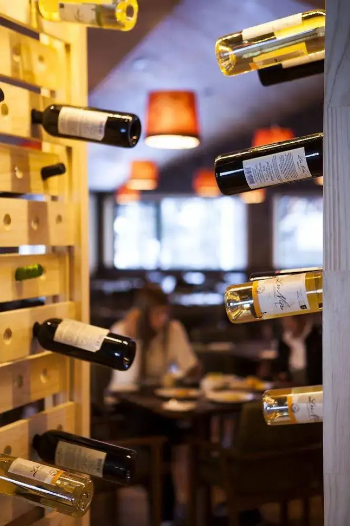 Valle Corralco Hotel & Spa