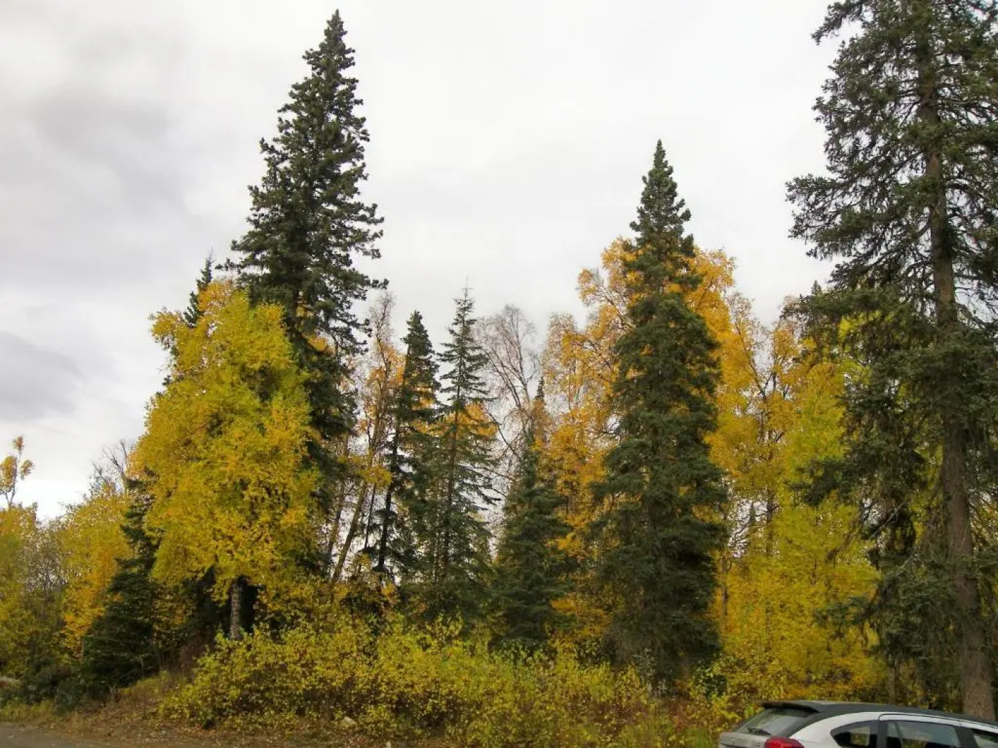 Grace and Bill's Freedom Hills