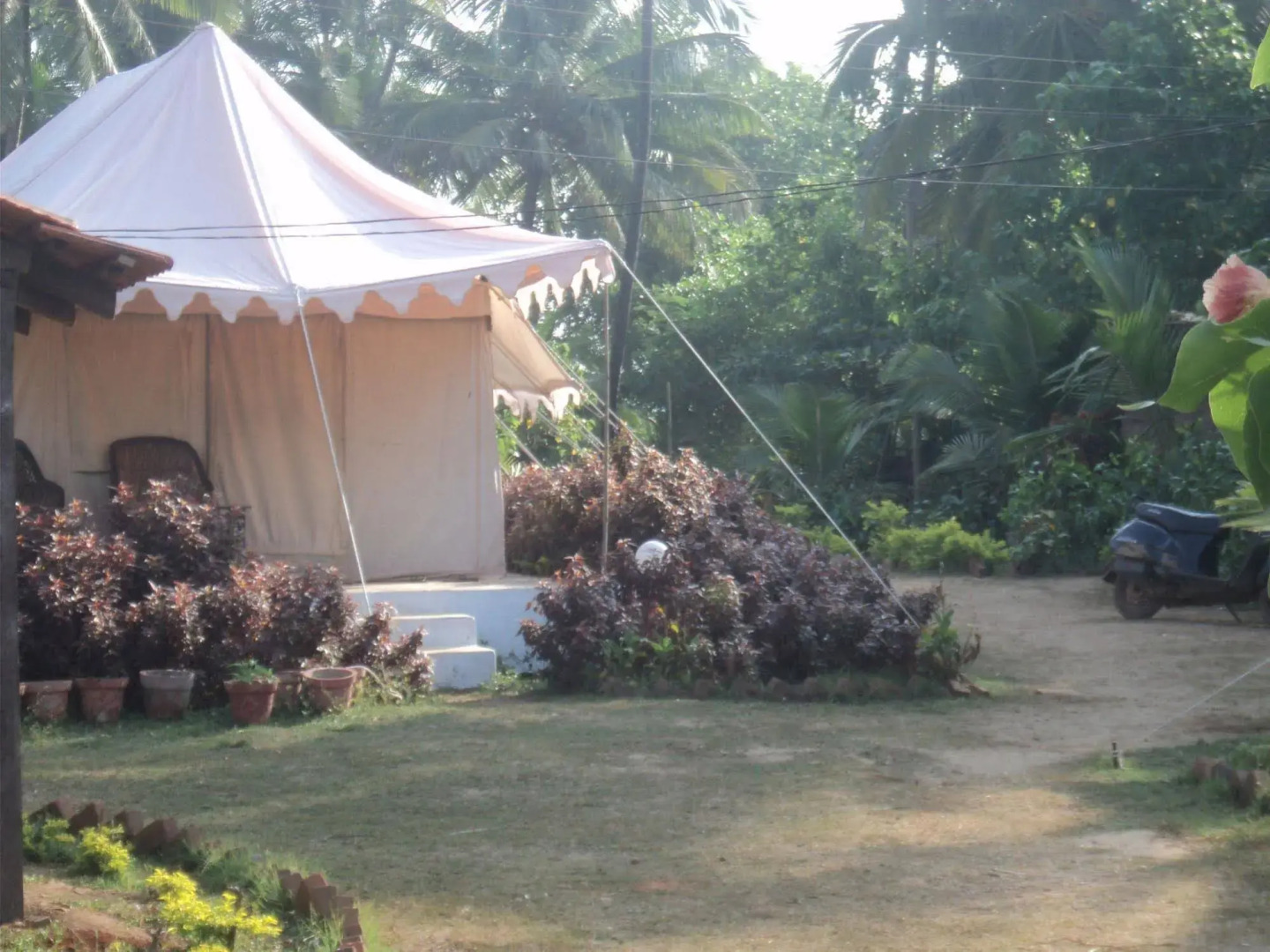 Five Five Restaurant and Guest Tent- Glamping