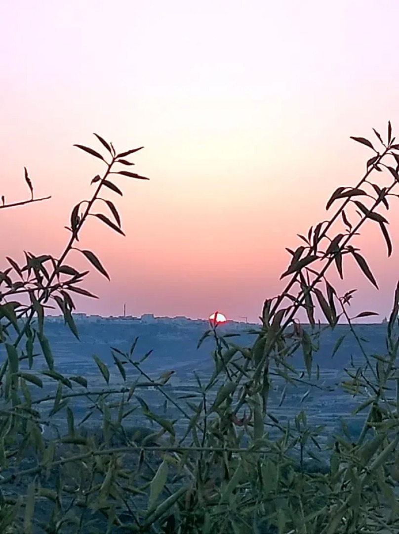 Gizimina B&B by VeroSole