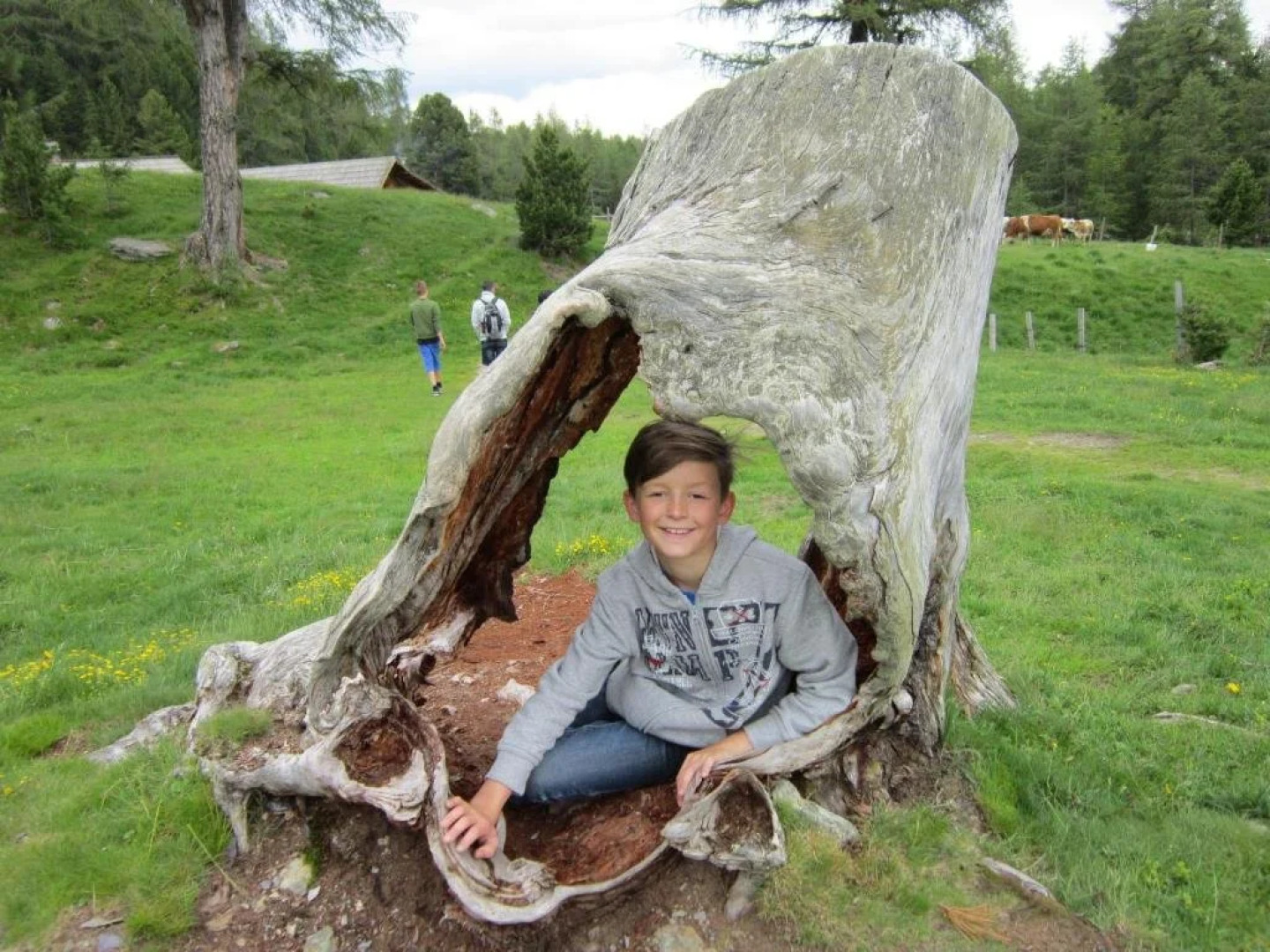 Zirbensuite Turracher Höhe