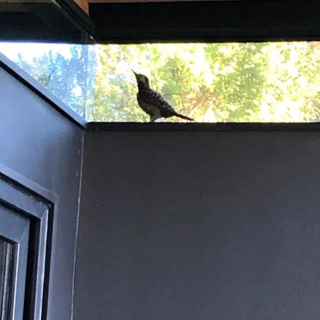 Meular Chiloe B/B Hotel