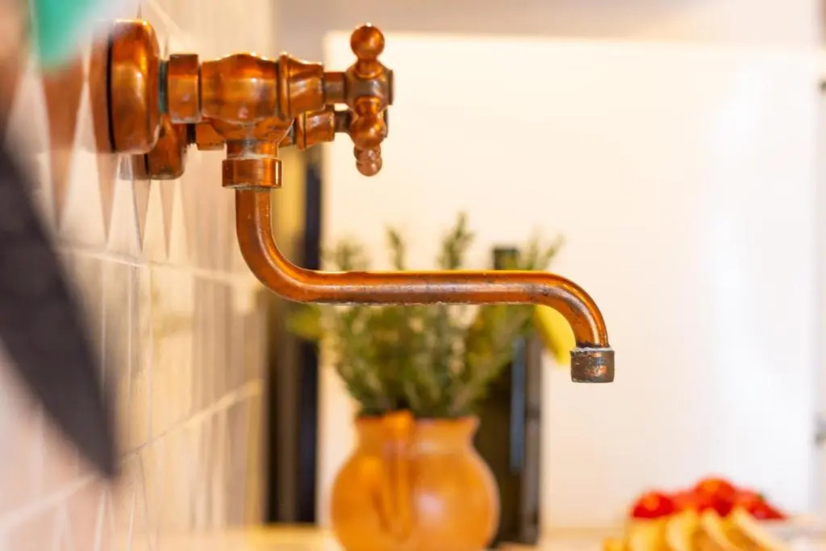 Agriturismo Le Vignacce