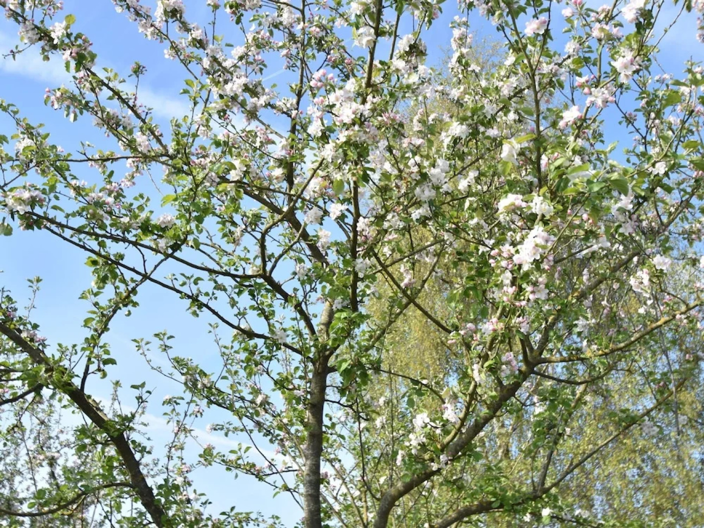 Rural, Detached Holiday Home With Pleasant Garden Near the French West Coast