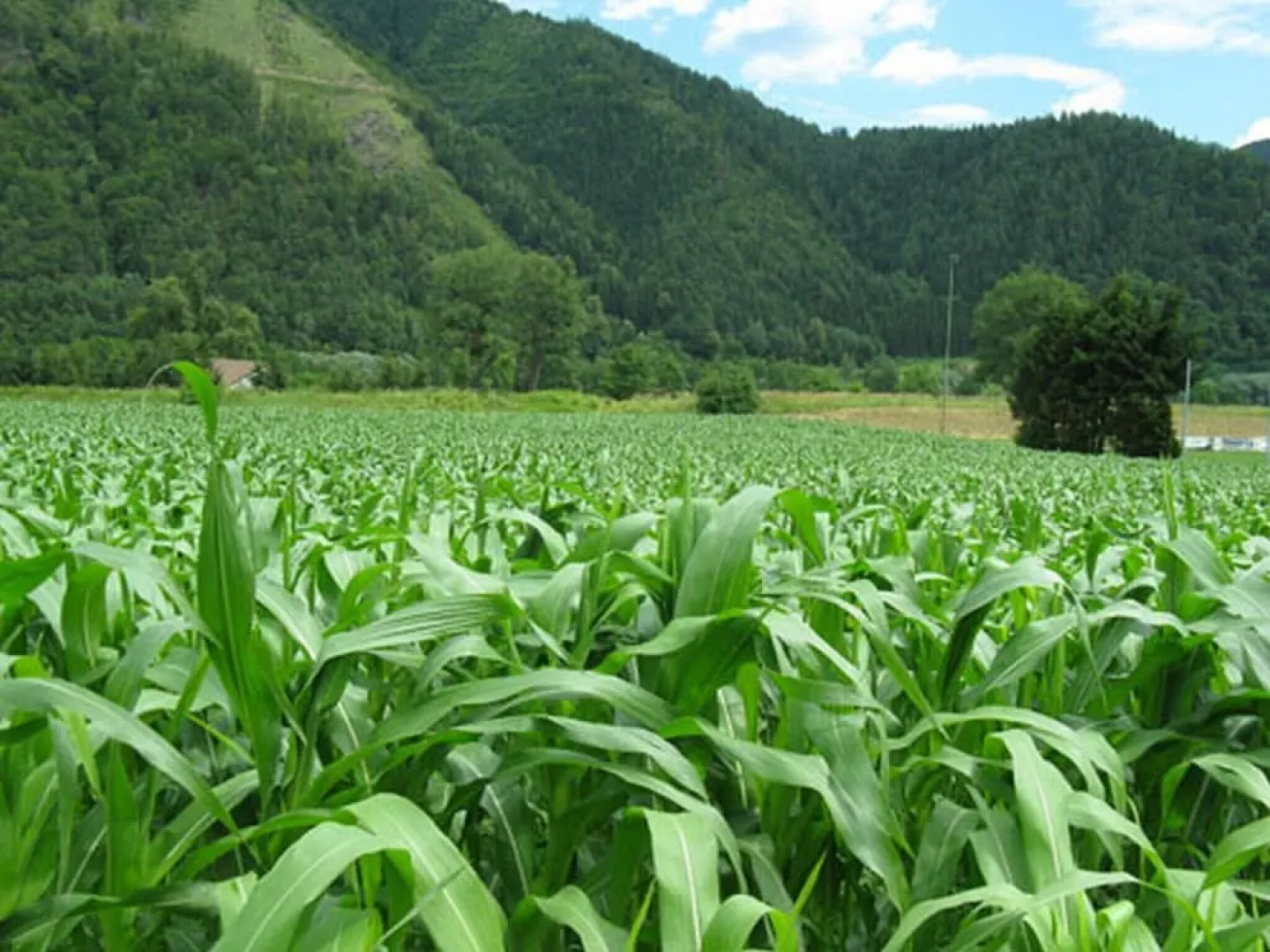Apartments Am Kirchkogel