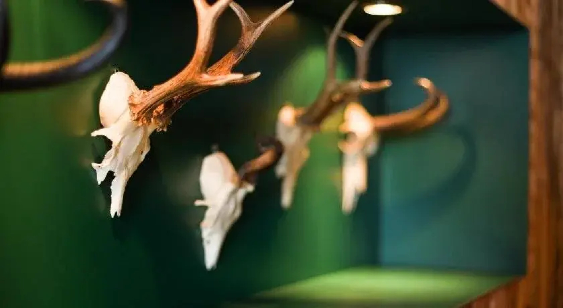 Wohlfühlhotel Hubertushof