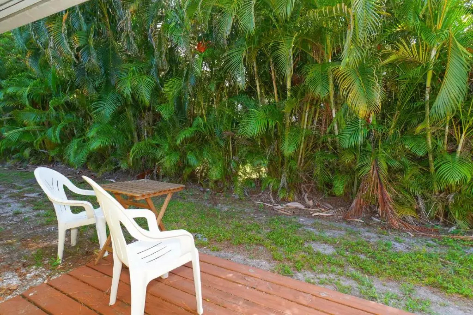 Tropical Fruit Garden