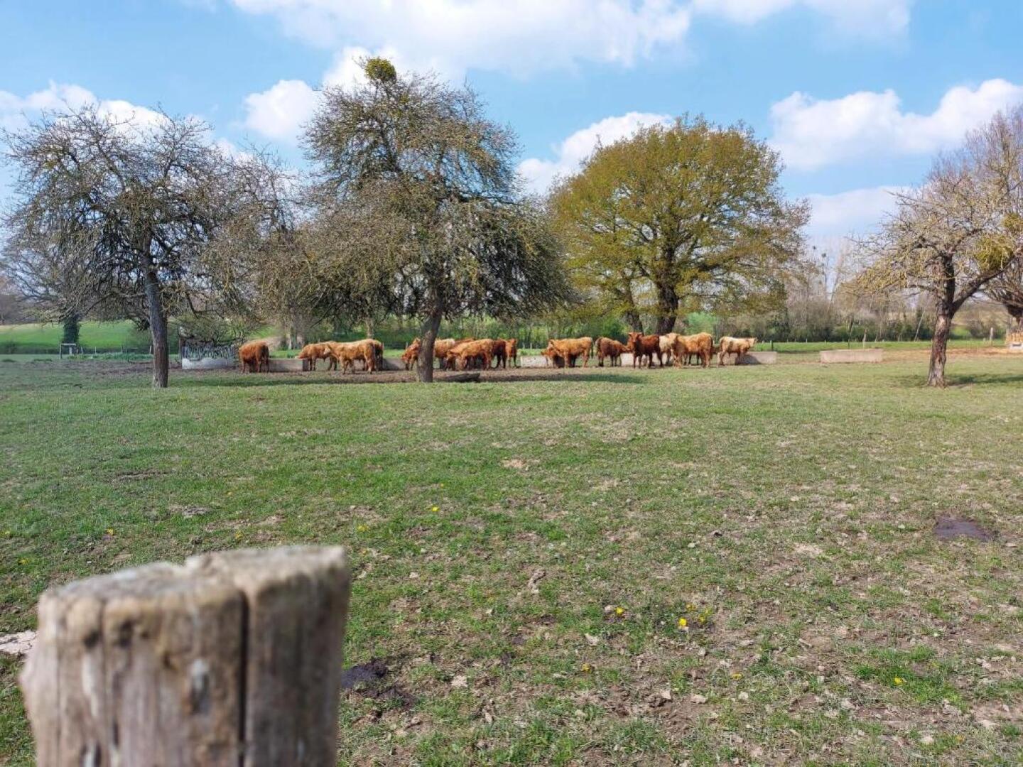 Gîte Cossé-le-Vivien, 3 pièces, 5 personnes - FR-1-600-197