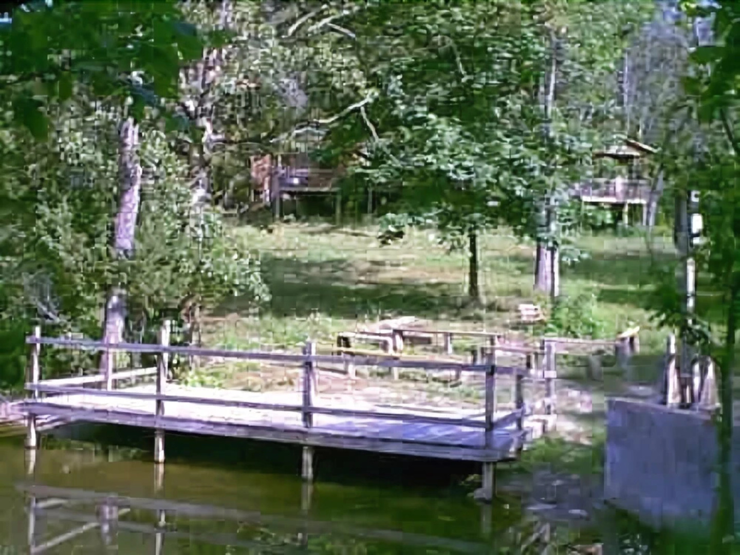 Mansfield Woods Vacation Cabins