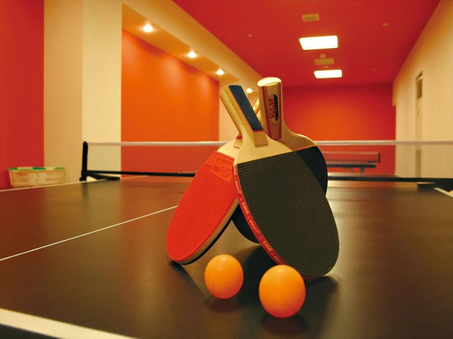 Ooedo Onsen Monogatari Premium Shirahama Saichoraku