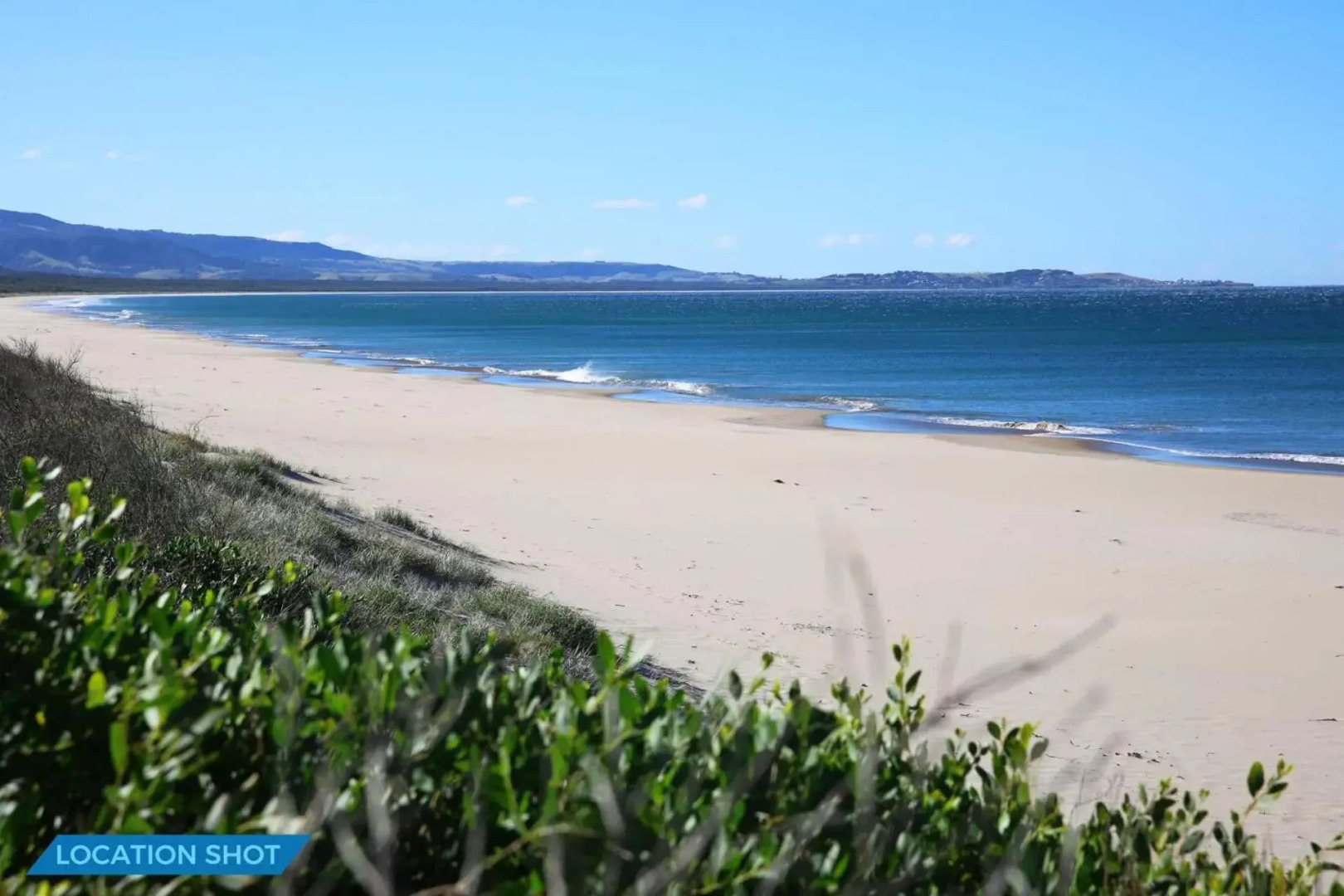 Aloha - Pet And Family Friendly - 10 Min Walk To Beach