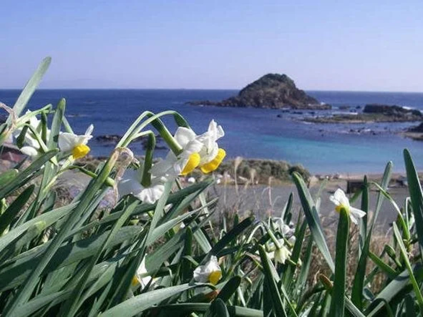 Suzuki Hotel Shimoda