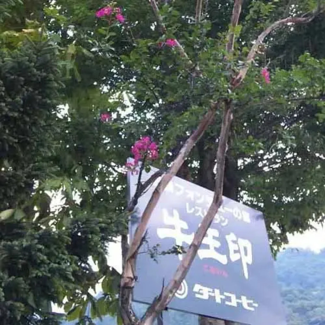 Hakusan Ichirino Onsen Hotel Gooin