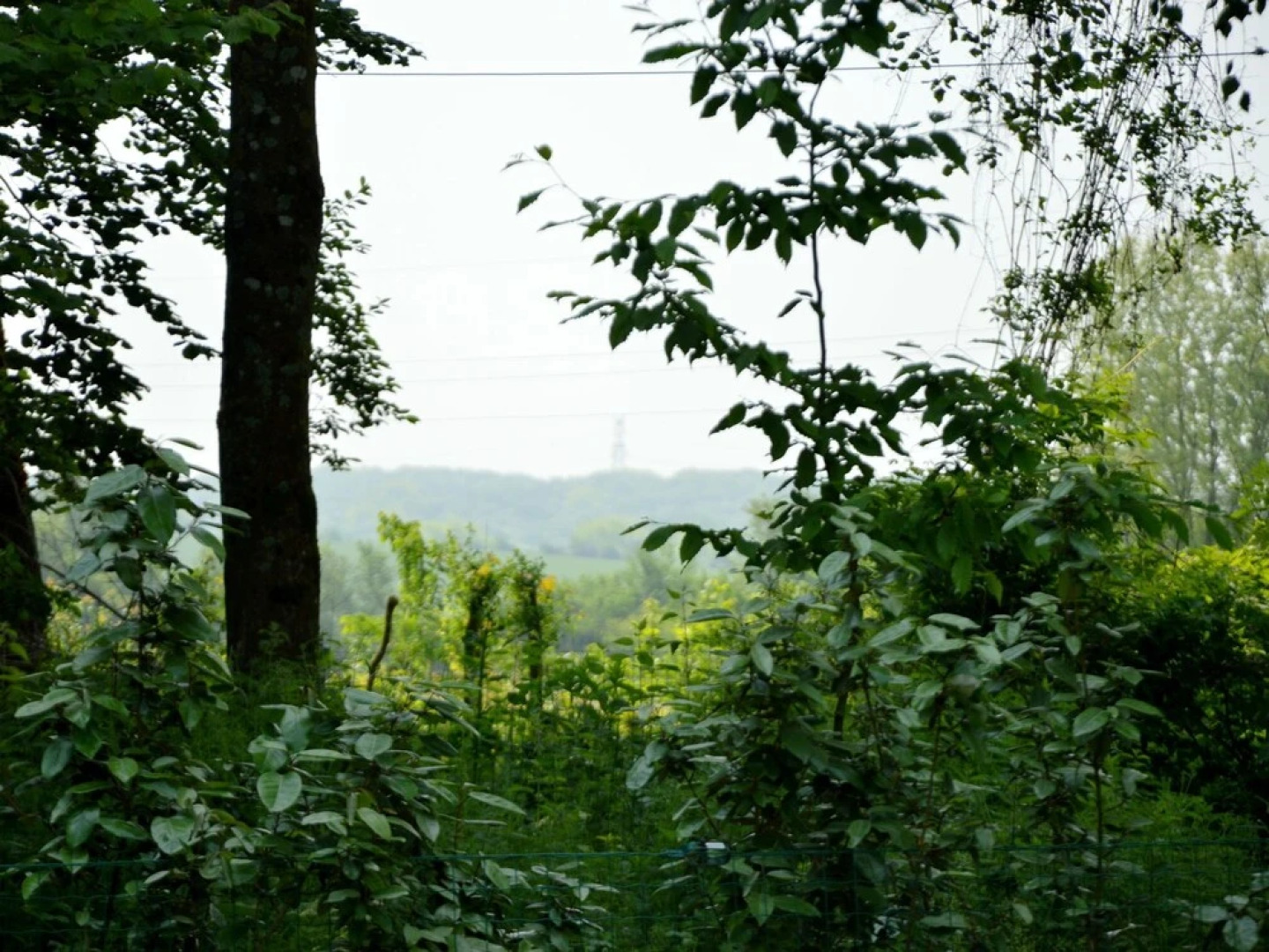 Rural and Charming Holiday Home Near the Cã´te D'opale