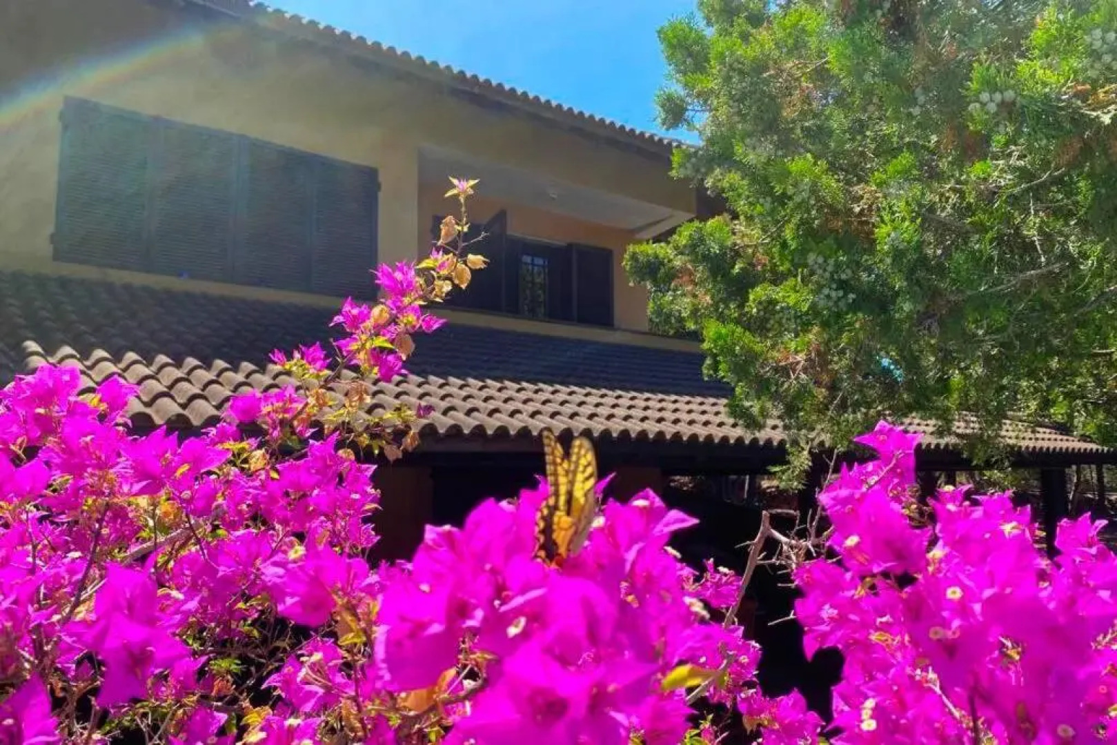 Domus 81 [Unità 1] - Villa con piscina in Sardegna