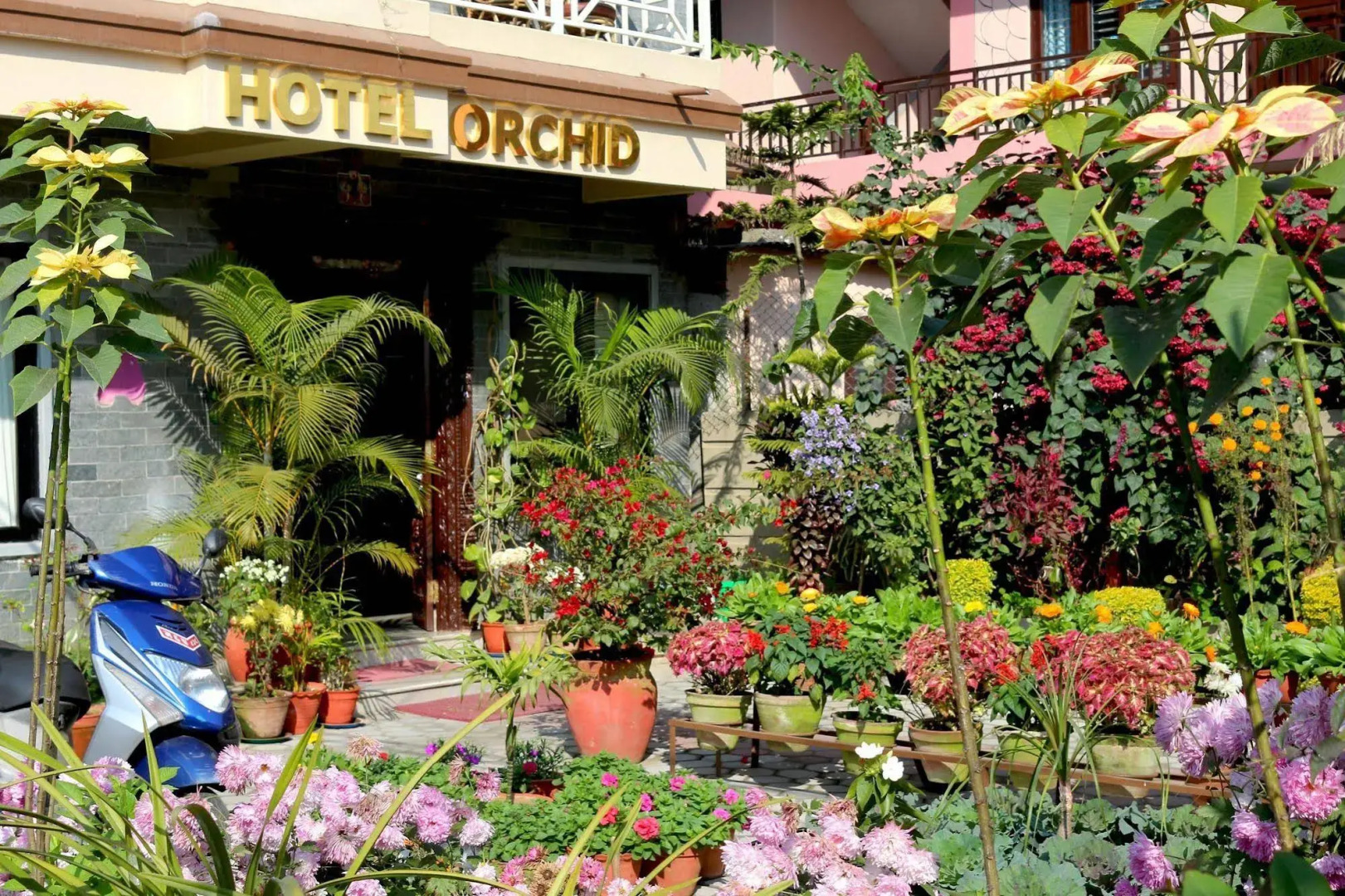 Hotel Orchid