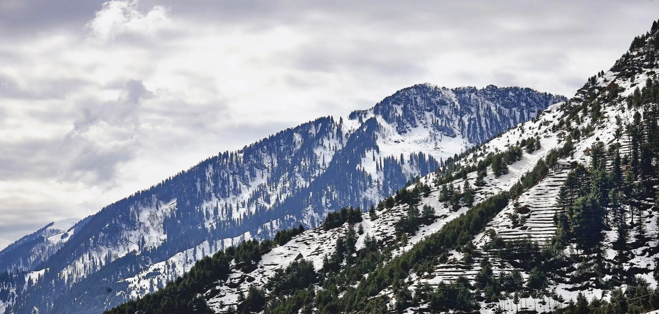 Solang Valley Resort