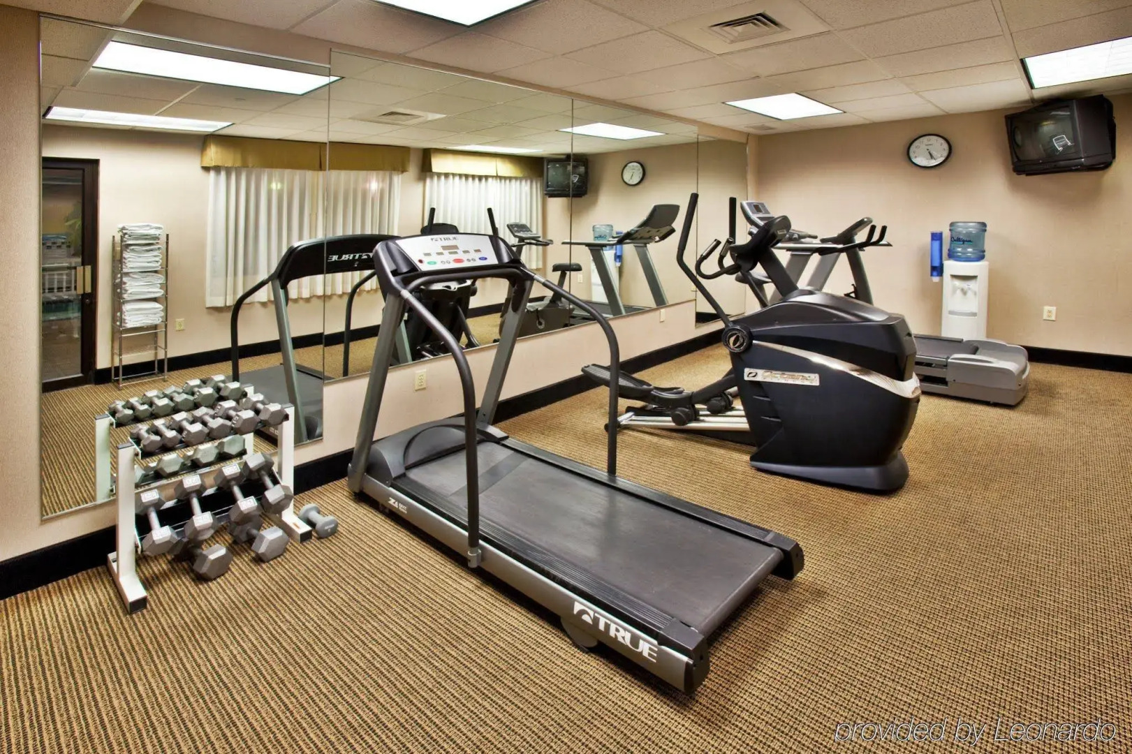 Spark by Hilton Ames