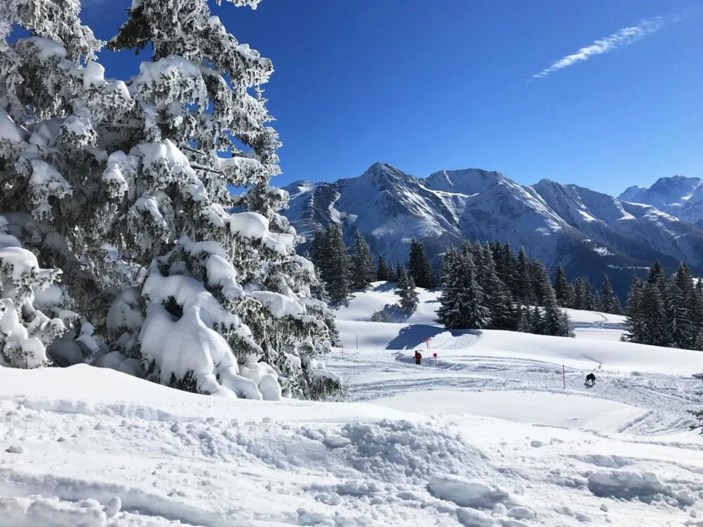 Fifinhaus Fiesch in Fiesch