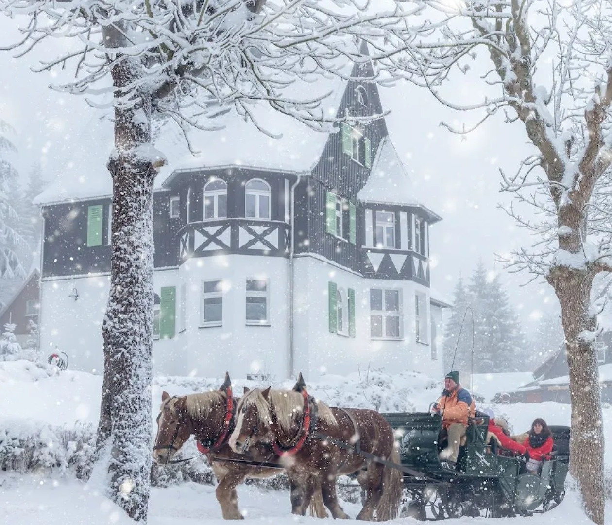 Ahornallee Ferienappartements