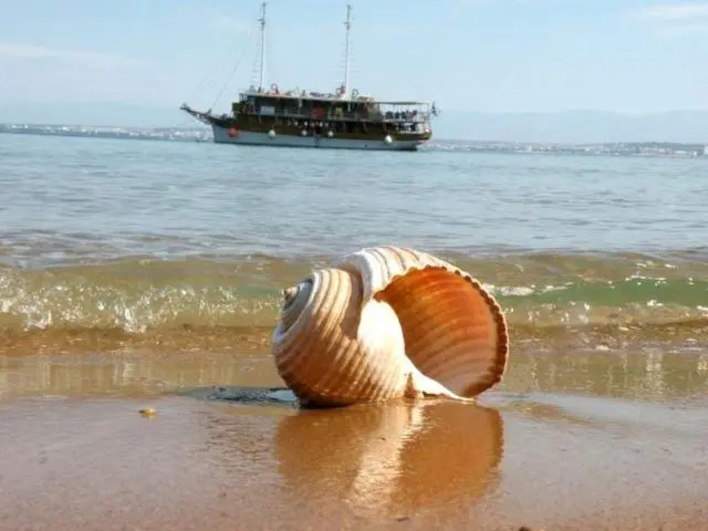 Apartments Villa Bosotina