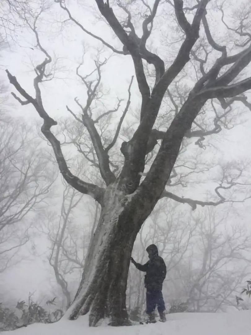 Okushiri Guesthouse imacoco - Hostel