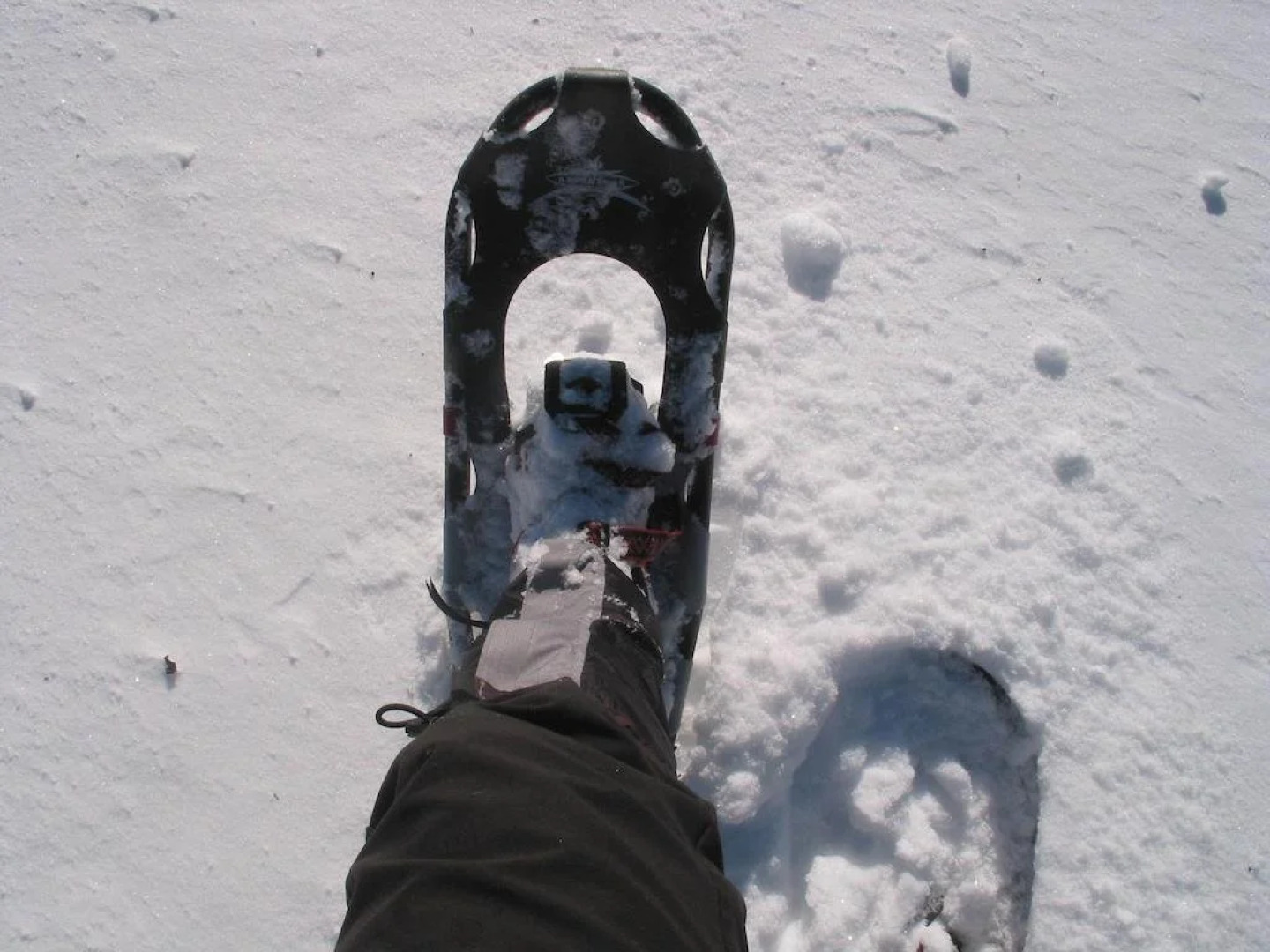 Familienbauernhof Mesner