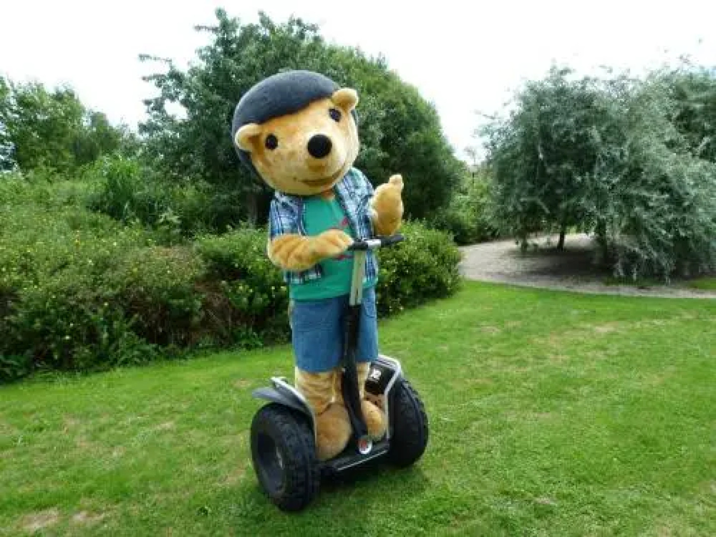 Campingpark de Bongerd