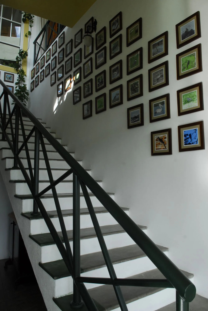 The Albatross, Kandy