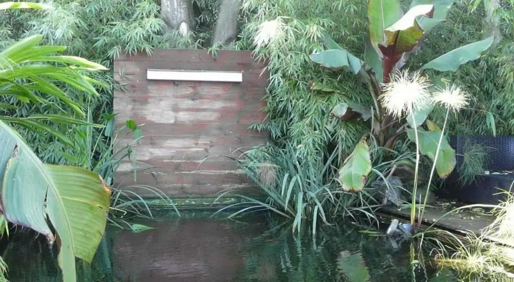 Appartements Le Clos des Bambous