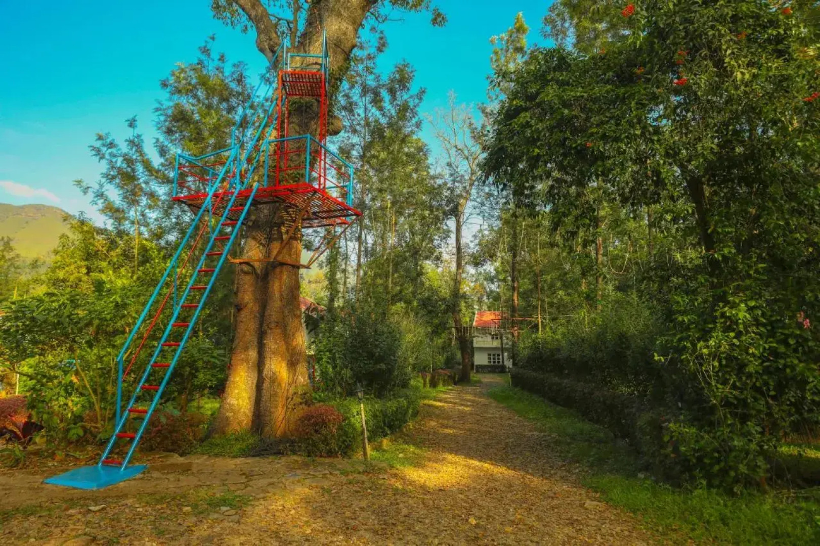 The Blossom Resort Chikmagalur