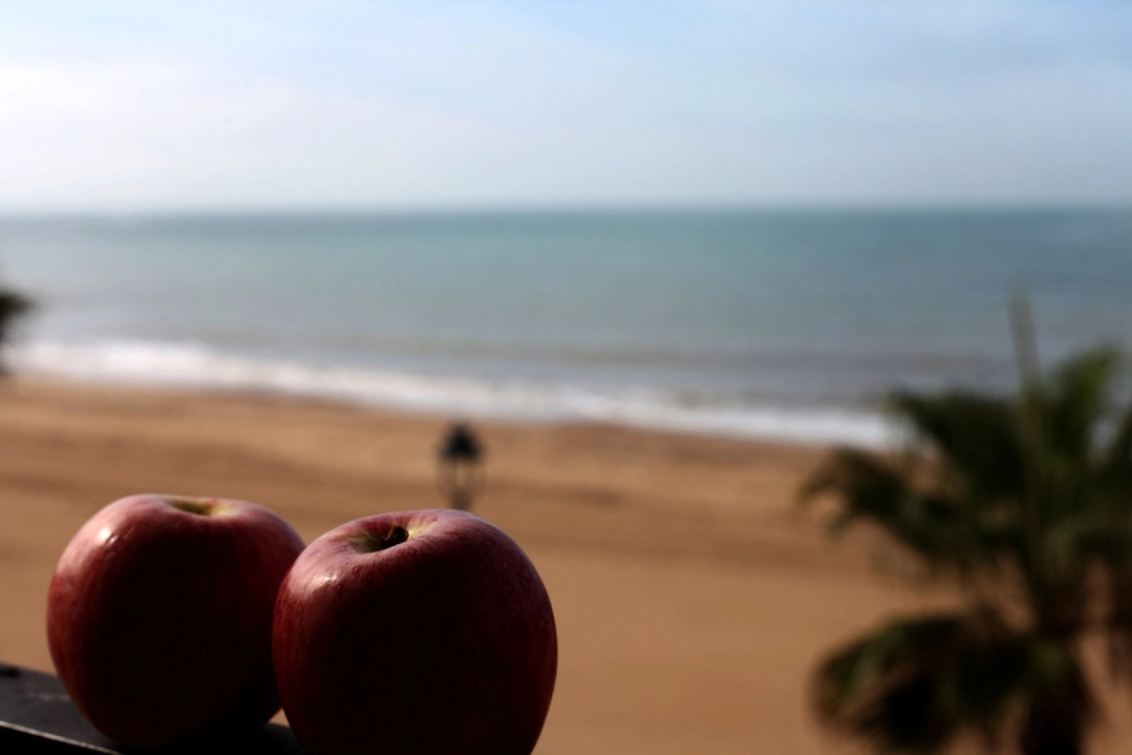 Hotel Playa De Regla