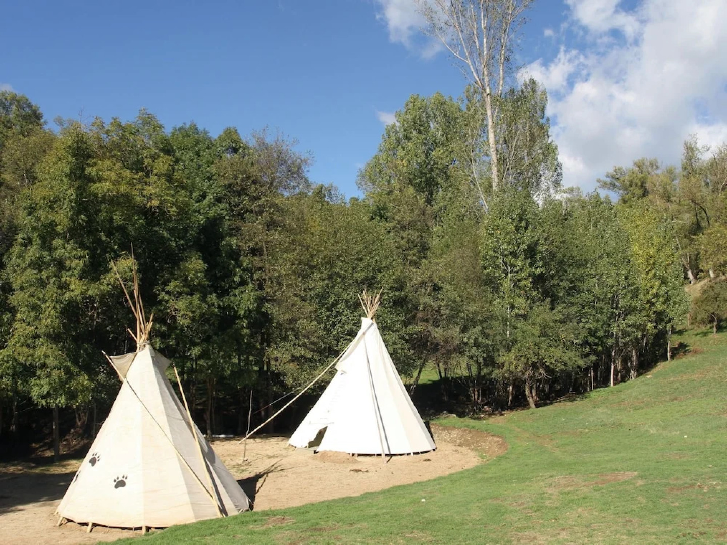 Cozy Bungalow With a Fireplace in the Middle of the Pyrenees