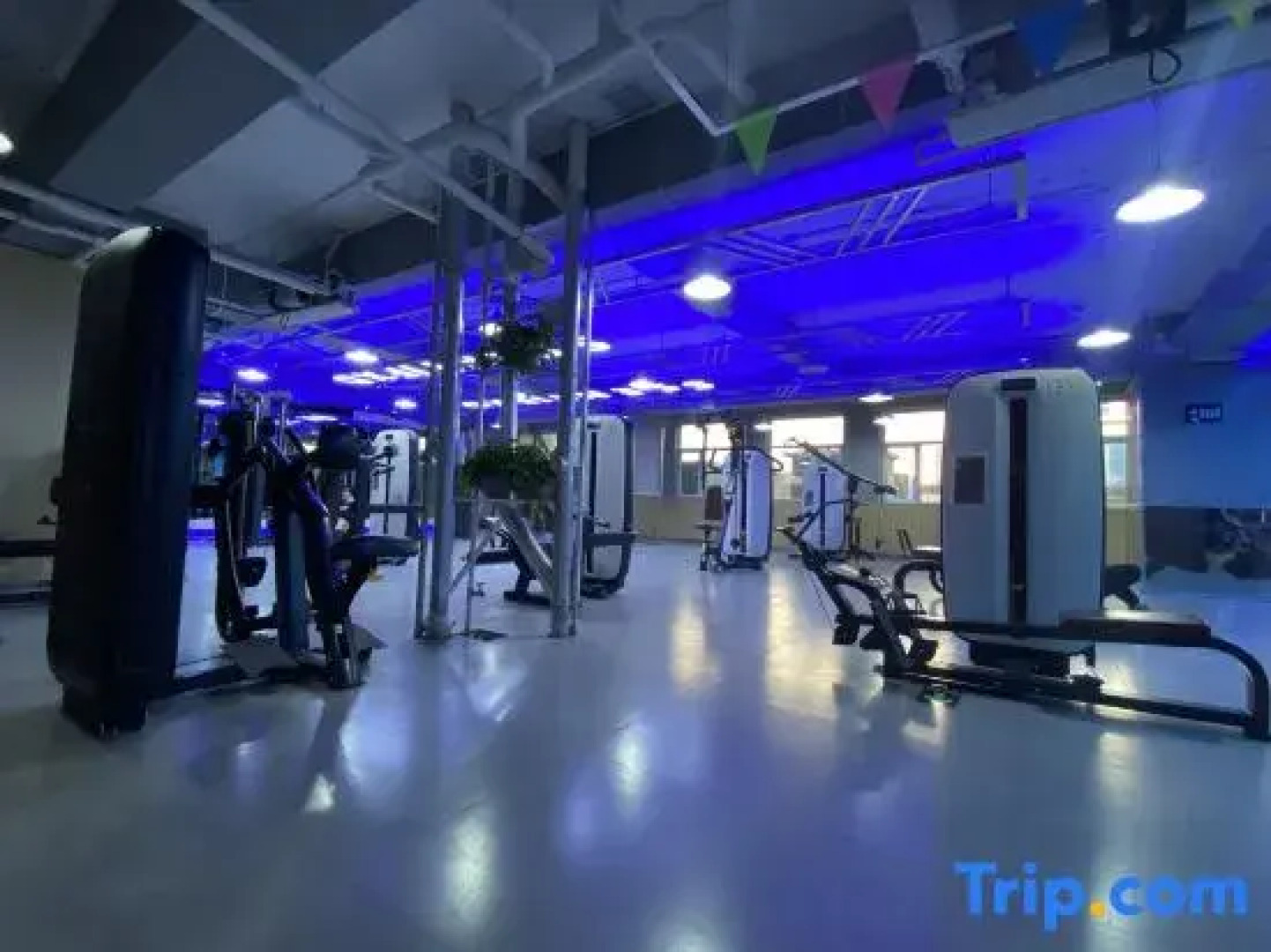 Vienna Hotel (Wuyuan Moore City store)