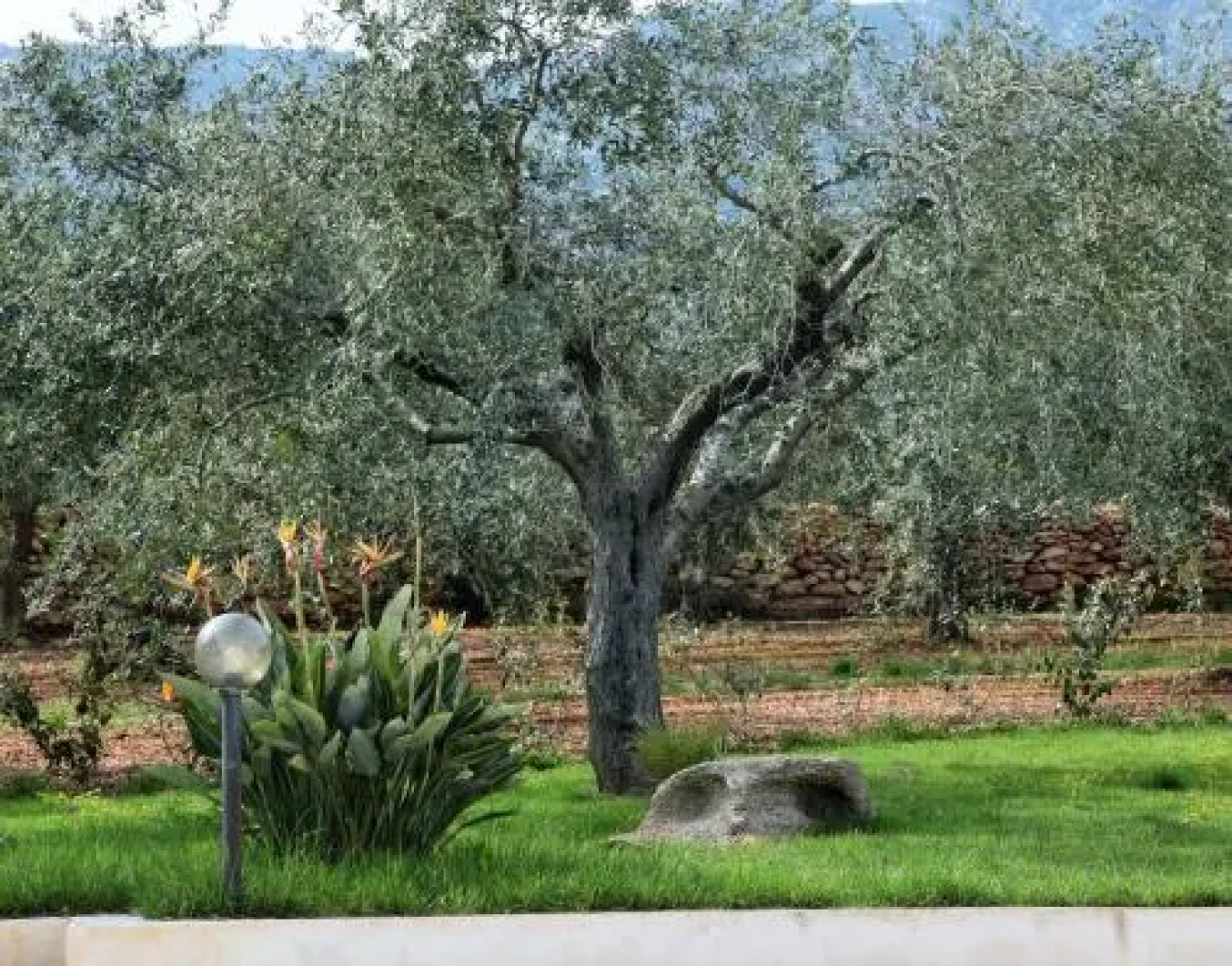 Casa Vacanze Margherita