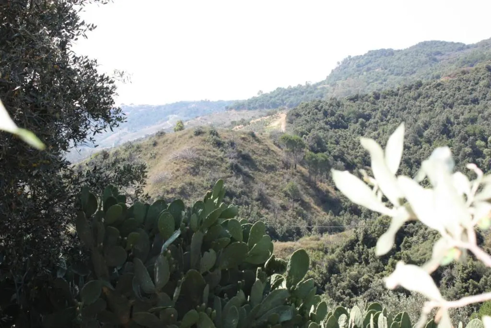 Azienda Agrituristica Le Puzelle