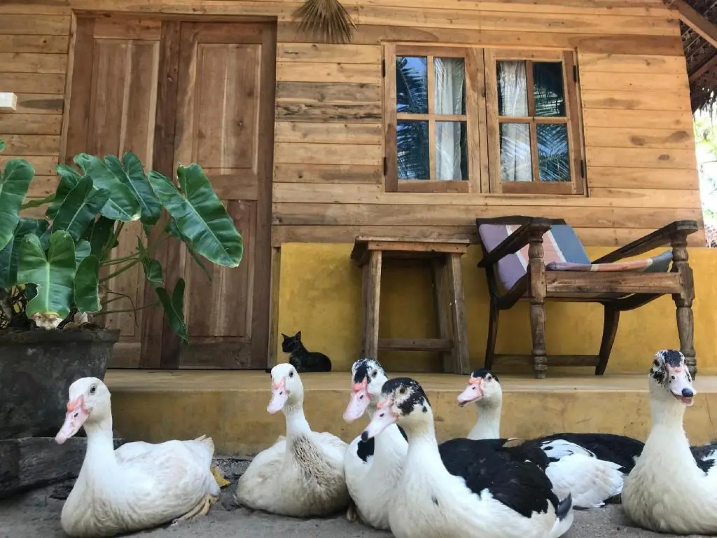 Margarita Village kite school kalpitiya